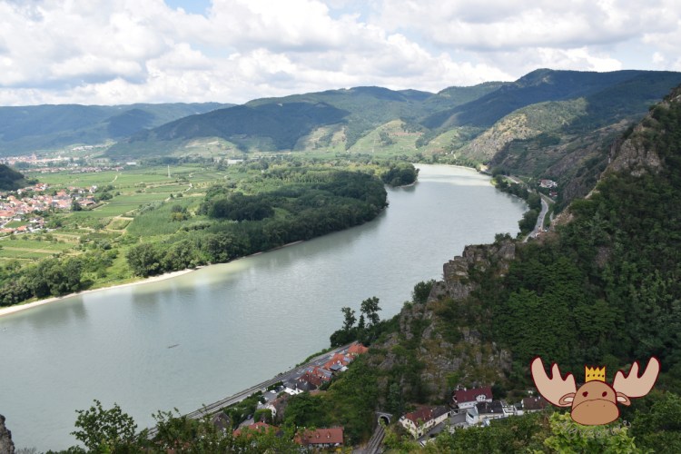 Ausflug ins Marillenparadies