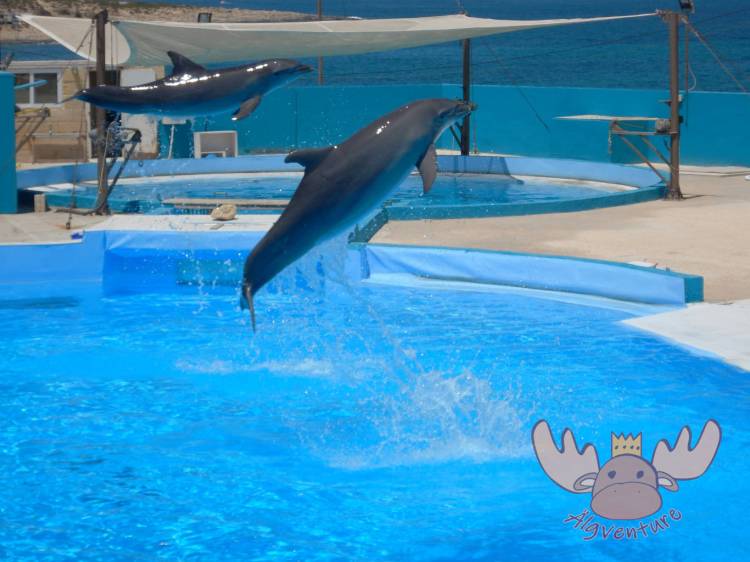 Mediterraneo Marine Park