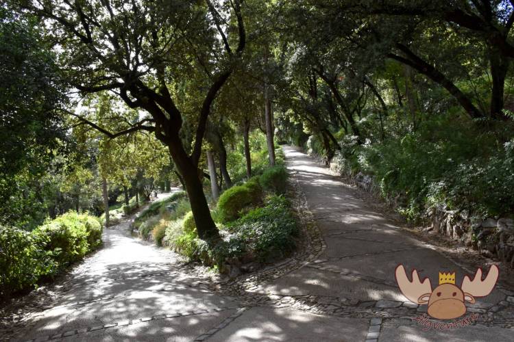 Jardins de la Fontaine Nîmes