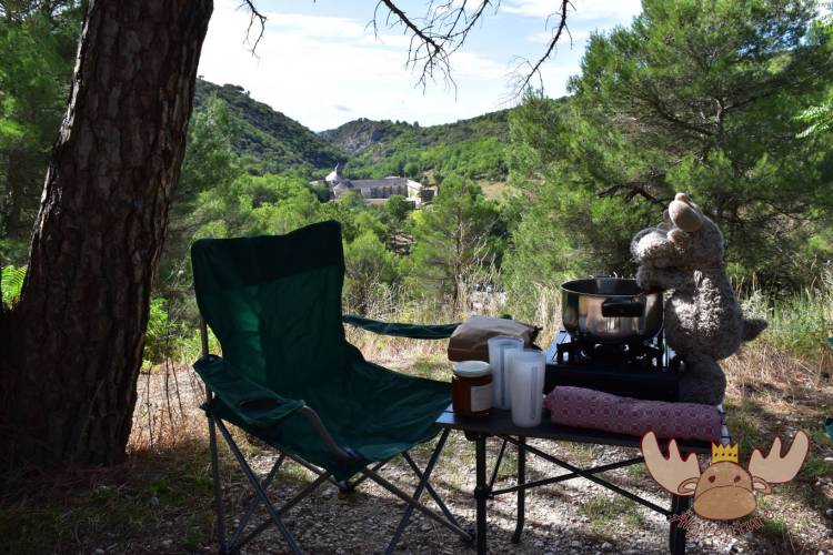 Älgbert vor der Abtei von Sénanque | Älgbert in front of the Abbey of Sénanque