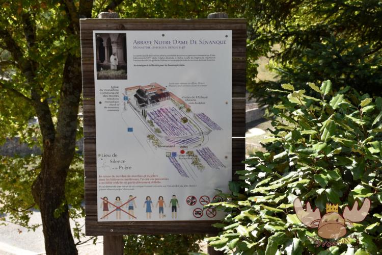 Abtei von Sénanque | Abbey of Sénanque