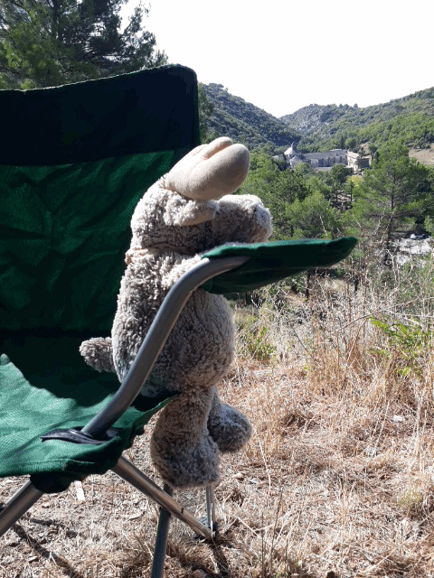Älgbert vor der Abtei von Sénanque | Älgbert in front of the Abbey of Sénanque