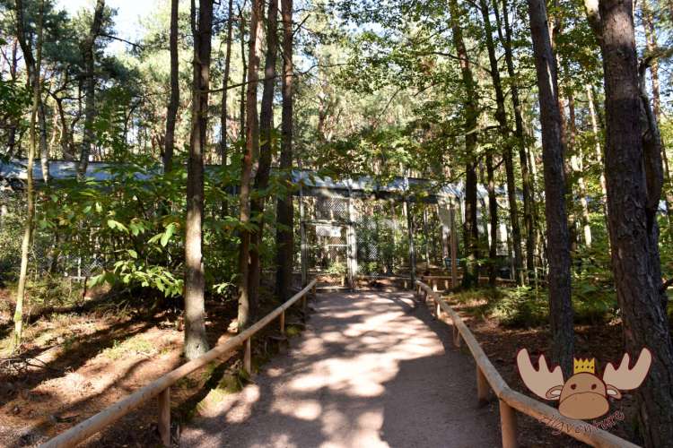 La Montagne des Singes