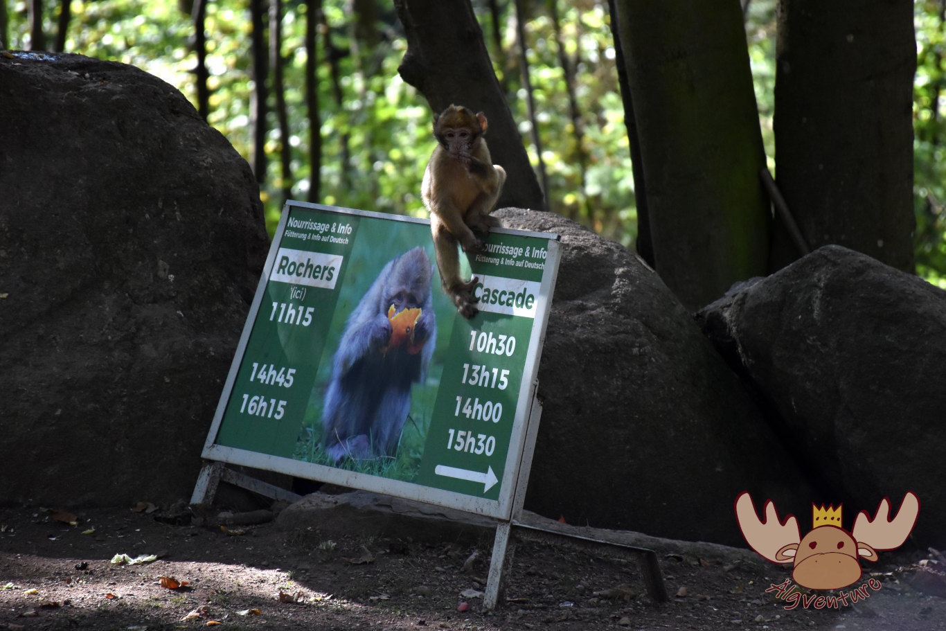 La Montagne des Singes