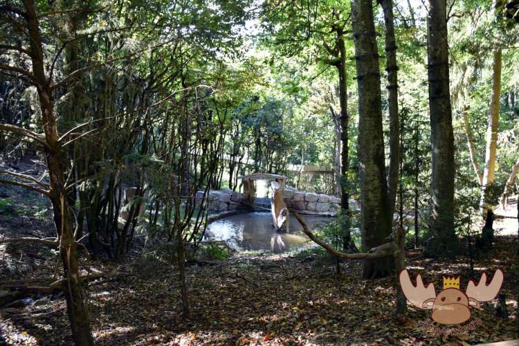 La Montagne des Singes