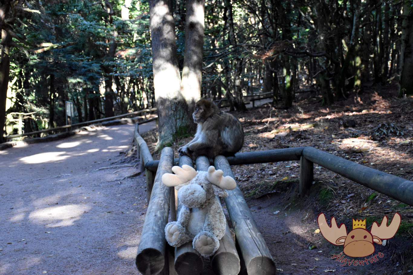 La Montagne des Singes