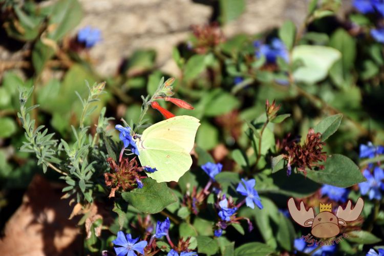 Saint-Guilhem-le-Désert