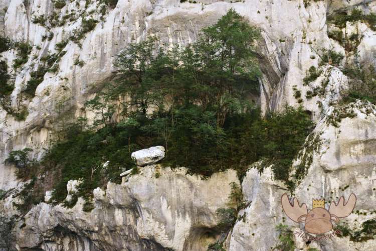 Verdonschlucht | Verdon Canyon