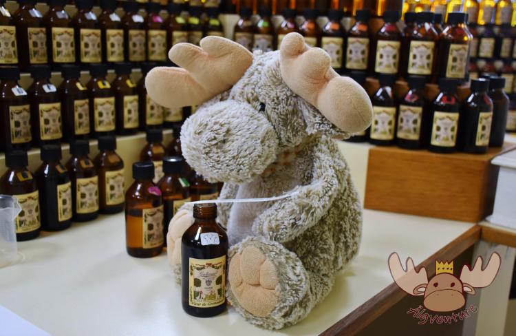 Auf diesem Bild ist Älgbert Elgson zu sehen, wo er verschiedene Düfte der Parfümerie Grasse durchprobiert. | On this picture you can see Älgbert Elgson, where he is trying out various fragrances from the Grasse perfumery.