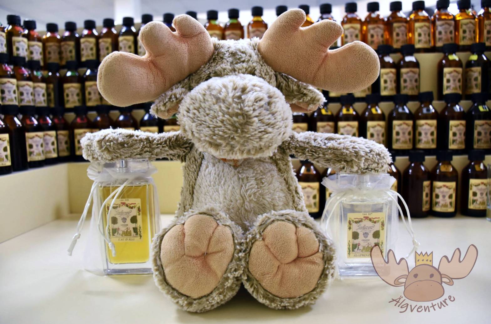 Auf diesem Bild ist Älgbert Elgson mit seinen zwei selbstgemachten Parfüms zu sehen. Diese sind bei einem Workshop in der Parfümerie Galimard entstanden. | This picture shows Älgbert Elgson with his two selfmade perfumes. These were created during a workshop at the Galimard perfumery.