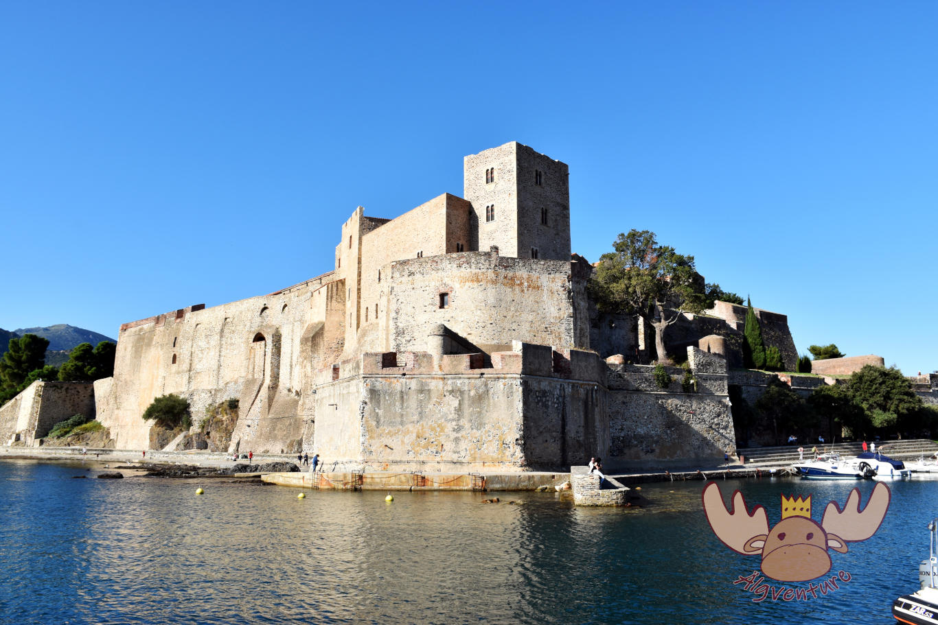 Collioure | Château Royal de Collioure
