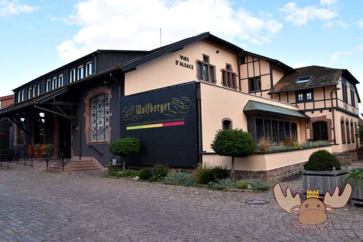Der Weinkeller der Winzergenossenschaft Wolfberger am Ortseingang von Eguisheim. - The wine cellar of the Wolfberger cooperative at the entrance to Eguisheim.