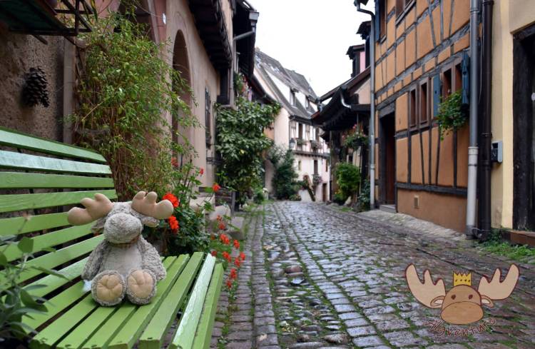 Blumengeschmückte Fachwerkhäuser entlang der Ringgasse in der Altstadt von Eguisheim. - Flower-decorated half-timbered houses along the Ringgasse in the old town of Eguisheim.