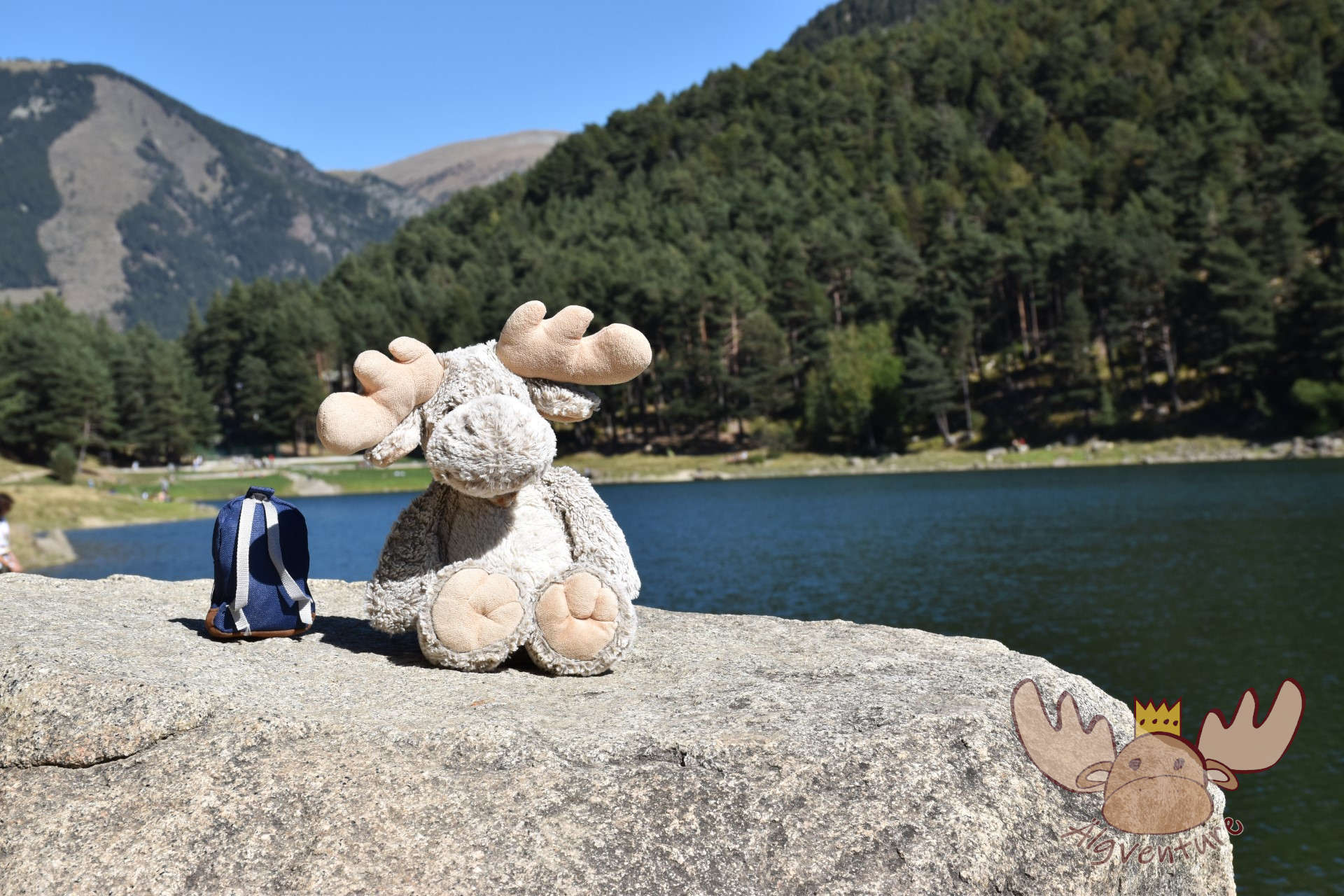 Älgbert macht eine kurze Pause am Ufer des Lac d'Engolasters in Andorra - Älgbert takes a short break on the shores of Lac d'Engolasters in Andorra