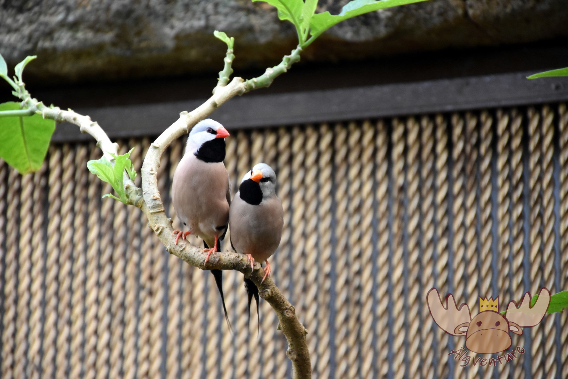 Butterfly Park Empuriabrava