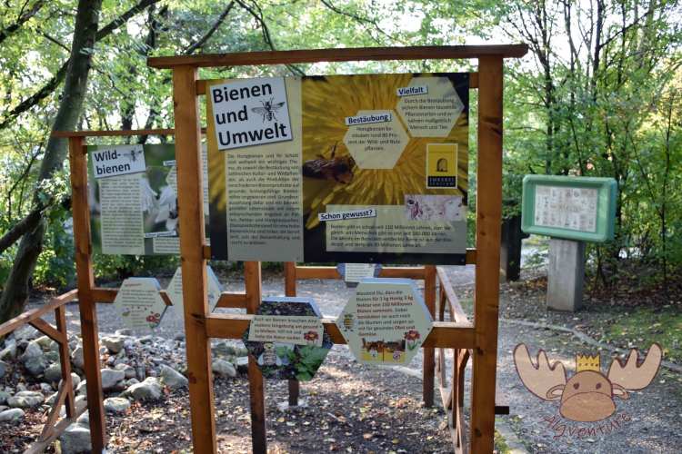 Informationstafeln im Zoo Linz über die notwendigkeit von Bienen für Mensch und Umwelt. - Information boards in Linz Zoo about the necessity of bees for humans and the environment.