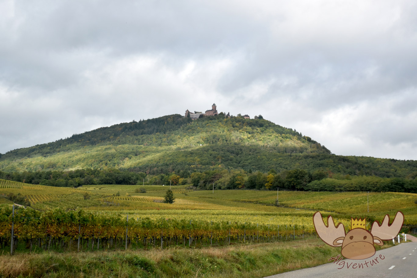 Château du Haut-Kœnigsbourg | Ansicht der Hohkönigsburg und des Burgberges - landscape shot of the Château du Haut-Kœnigsbourg