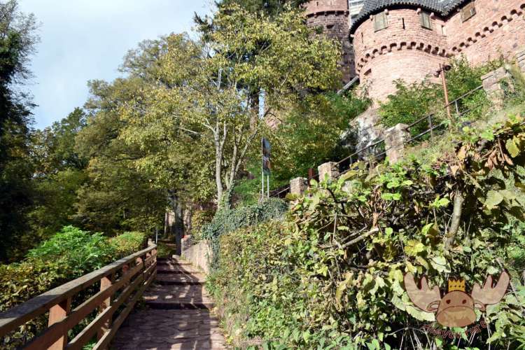 Château du Haut-Kœnigsbourg | Gehweg zum Haupttor - walkway to the maingate