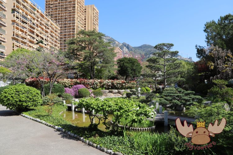 Larvotto | Japanischer Garten von Monaco - Japanese garden of Monaco
