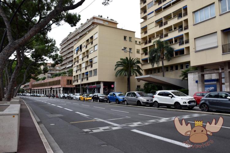 Die Start- und Ziellinie der Rennstrecke, wo jährlich der Große Preis von Monaco ausgetragen wird. - The start and finish line of the circuit where the annual Monaco Grand Prix is held.