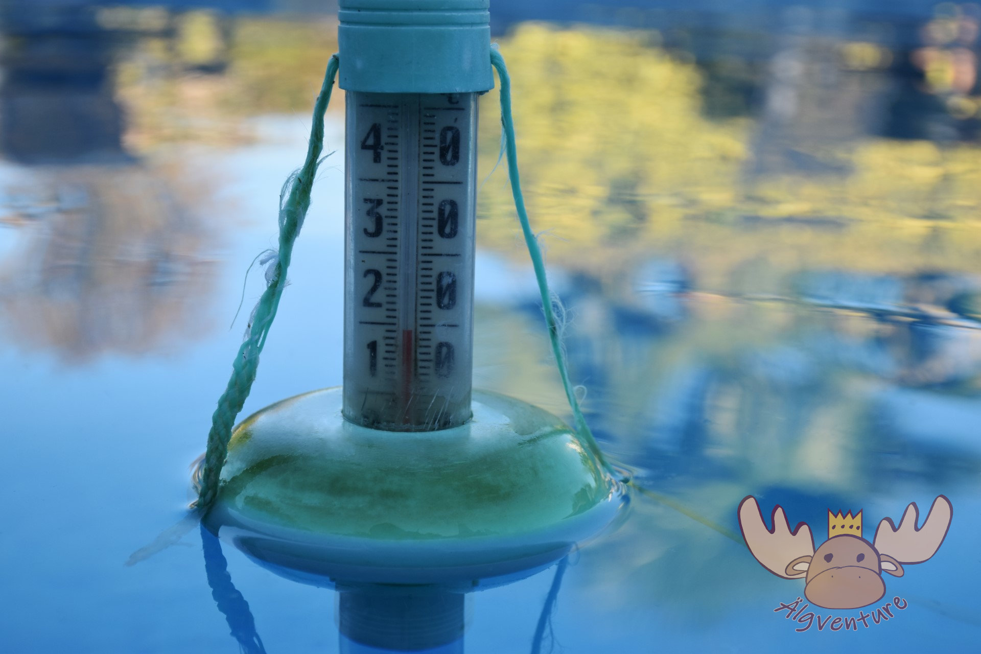 Angenehme Badetemperaturen in dem Pool unserer Unterkunft. - Pleasant bathing temperatures in the pool of our accommodation.