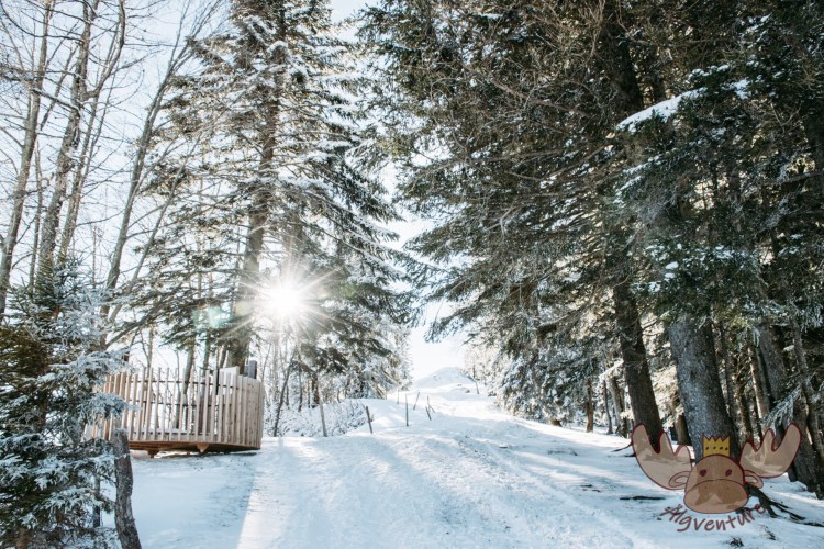 Eine von zwölf Stationen aus Naturmaterialien erklären spielerisch spannende Naturphänomene und traditionelle Überlieferungen entlang des Rundweges - One of twelve stations made of natural materials playfully explains exciting natural phenomena and traditional lore along the circular trail.
