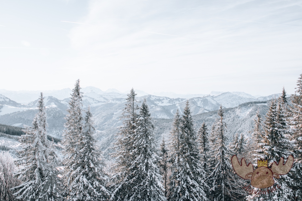 Zwölferhorn – Eine winterliche Wanderung in den österreichischen Bergen