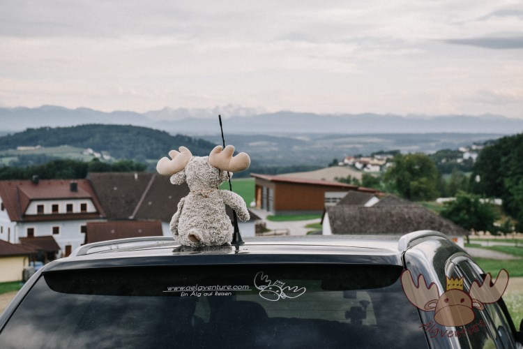 Blick auf die österreichischen Alpen - View of the Austrian Alps