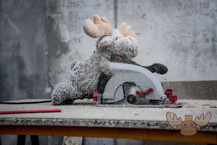 Meister der Handkreissäge - Master of the circular saw