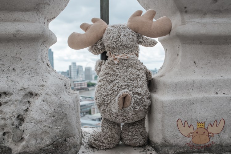 London | Älgbert genießt den Ausblick - Älgbert enjoys the view