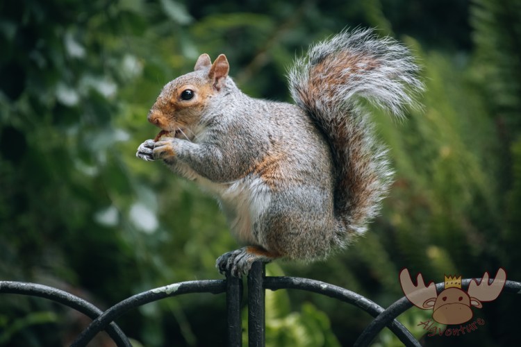 London | Mahlzeit! - Meal time!
