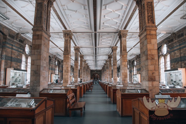London | Geologische Sammlung des Natural History Museum - Geological Collection of the Natural History Museum