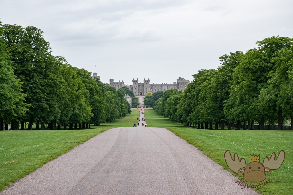 Windsor | Blick auf Windsor Castle - View of Windsor Castle