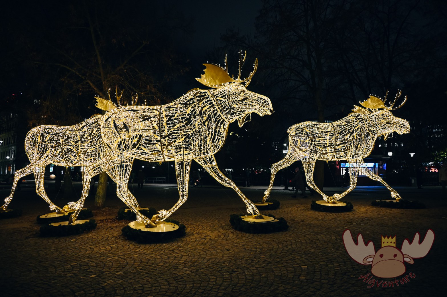Weihnachtliche Beleuchtung schmückt die 40 schönsten Straßen, Orte und Plätze in der Stockholmer Innenstadt. | Christmas lights decorate the 40 most beautiful streets, places and squares in Stockholm's city centre.