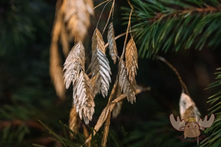In der Adventszeit wird auch der königliche Palast in Stockholm stilvoll geschmückt. - During Advent, the Royal Palace in Stockholm is also decorated in style.