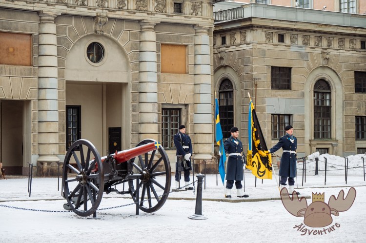 Stockholm | Appell vor dem königlichen Schloss - Appeal in front of the royal palace