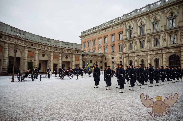Stockholm | Appell vor dem königlichen Schloss - Appeal in front of the royal palace