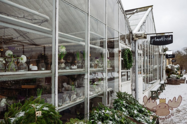 Stockholm | Gewächshaus von Rosendals Trädgård - Greenhouse at Rosendals Trädgård