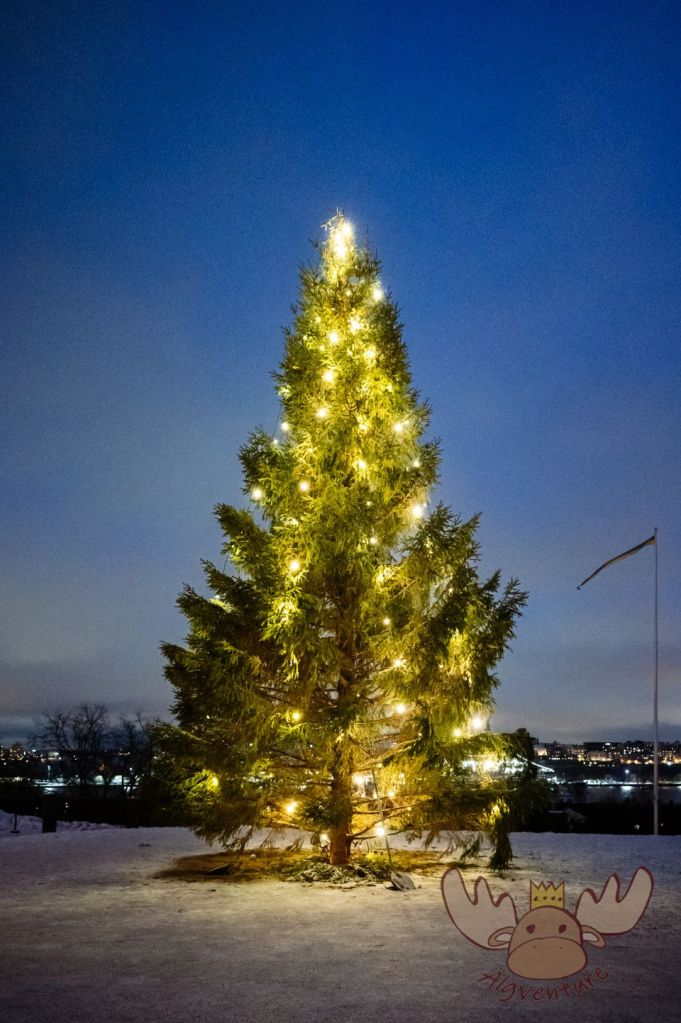 Stockholm | Weihnachtsbaum beim Sollidenscenen im Freilichtmuseum Skansen - Christmas tree at Sollidenscenen at Skansen Open Air Museum