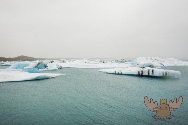 Jökulsárlón - Die Eisschollen treiben eine Zeit lang in einem See an der Küste bevor sie auf das offene Meer gespült werden. | The ice floes float in a coastal lake for a while before being washed out to sea.