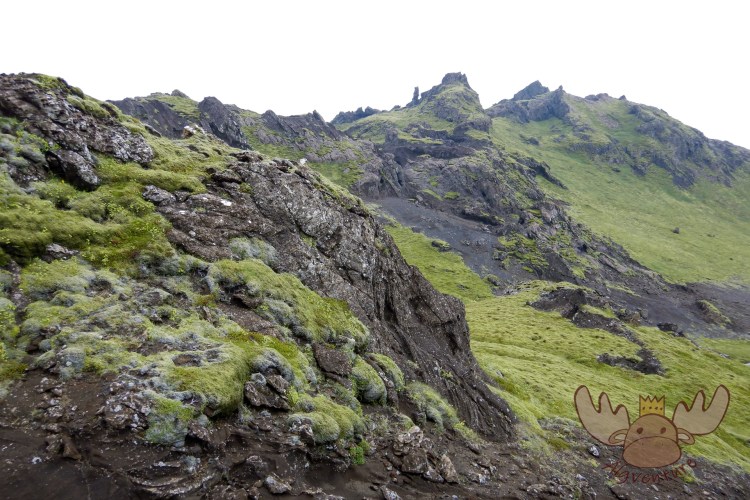 Þakgil | Die dünne Moosschicht, die sich auf dem Vulkanfelsen gebildet hat, ist äußerst empfindlich und man sollte es nicht betreten. - The thin layer of moss that has formed on the volcanic rock is extremely sensitive and should not be stepped on.