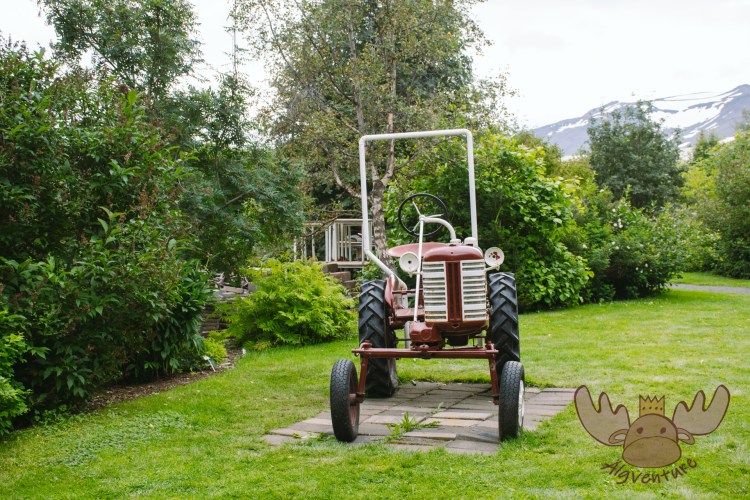 Lystigarður Akureyrar | IHC McCormick Farmall Cub