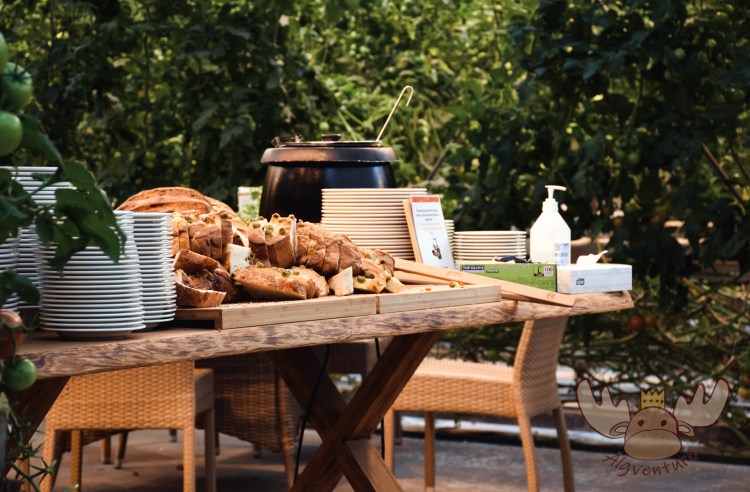 Friðheimar | Das Glashaus bietet ein einmaliges Ambiente um eine Frucht zu genießen, die man nicht in Island erwarten würde. - The Glasshouse offers a unique ambience to enjoy a fruit that you would not expect in Iceland.