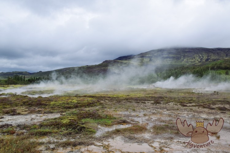 Geysir | Überall im hochaktiven Gebiet rund um die Geysire strömt Wasserdampf aus der Erde. - Water vapor flows out of the earth everywhere in the highly active area around the geysers.
