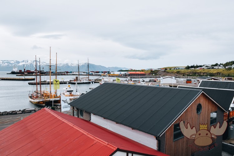 Húsavík | Wo sich einst viele Walfangschiffe im Hafen von Húsavík tummelten, liegen heute hauptsächlich kleinere Fischerboote und Ausflugsschiffe. - Where there were once many whaling ships in the harbor of Húsavík, today there are mainly smaller fishing boats and excursion ships.
