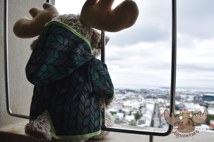 Reykjavík | Ausblick auf das Stadtzentrum vom Turm der ca. 74 Meter hohen Hallgrímskirkja. - View of the city centre from the tower of the approx. 74-metre-high Hallgrímskirkja.