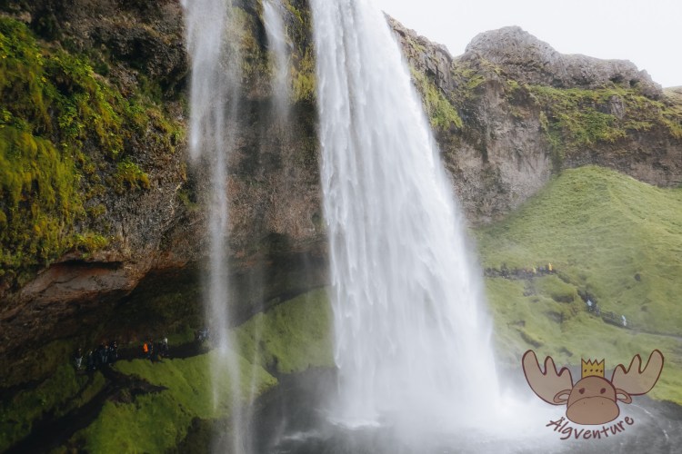 Seljalandsfoss | Wer diesen Wanderweg bestreiten möchte, muss sich jedoch darauf einstellen dabei nass zu werden. - However, if you want to walk on this hiking trail, you have to be prepared to get wet.