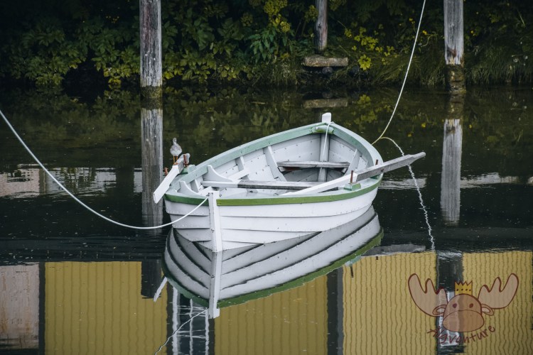 Síldarminjasafn Íslands |