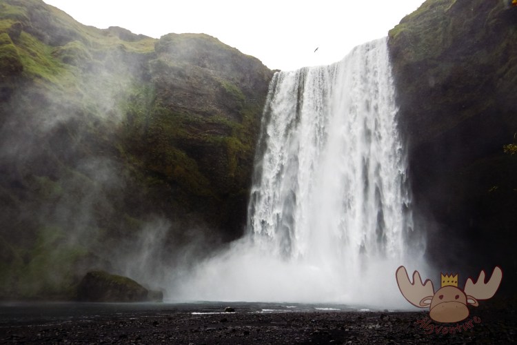 Skógafoss | Das Wasser fällt hier etwa 60 Meter den steilen Felshang hinab. - The water falls about 60 meters down the steep rocky slope.