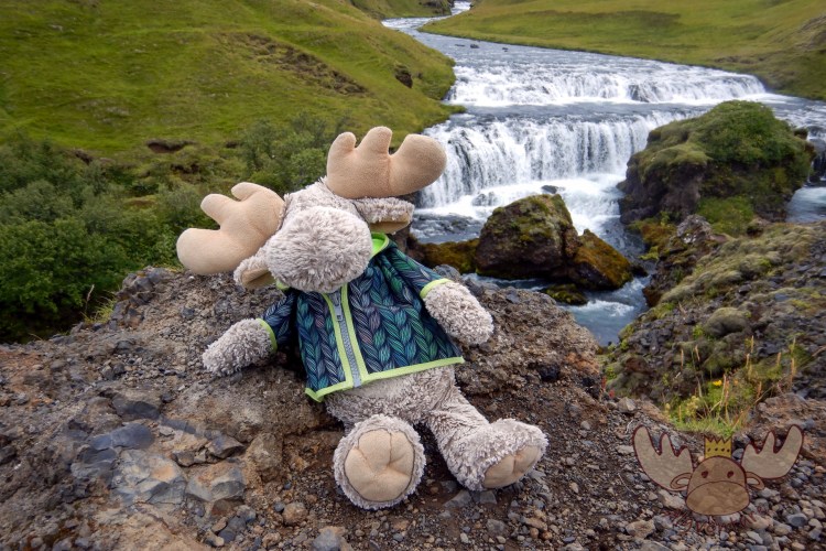 Skógafoss | Älgbert macht es sich nach dem Aufstieg über die vielen Stufen erstmal gemütlich. - Älgbert makes himself comfortable after climbing the many steps.